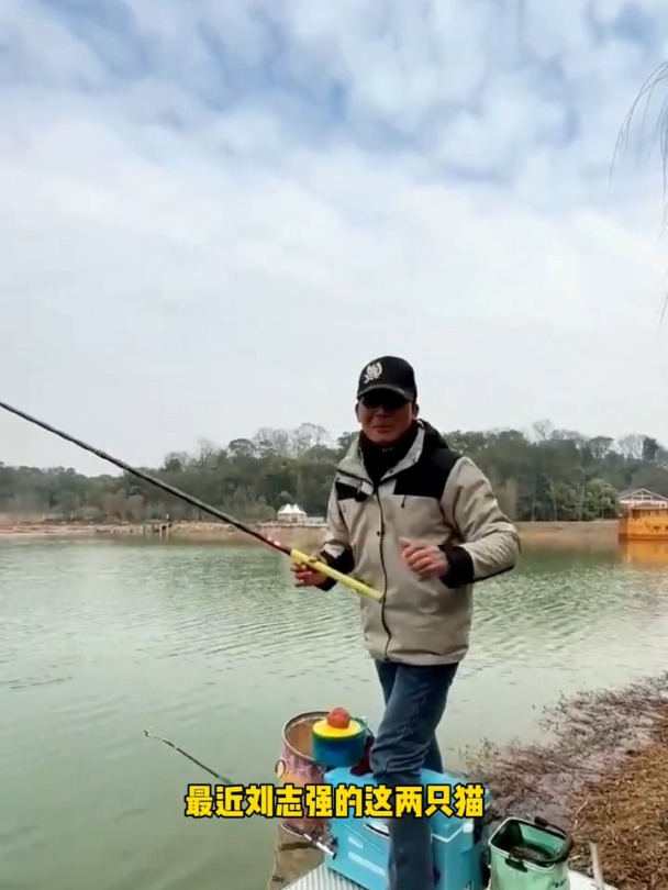 震惊新老钓友的黑猫白猫,据说入水8秒就有鱼咬钩?测评大震惊!