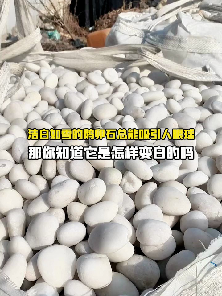 引人眼球的洁白鹅卵石,是如何变白的?