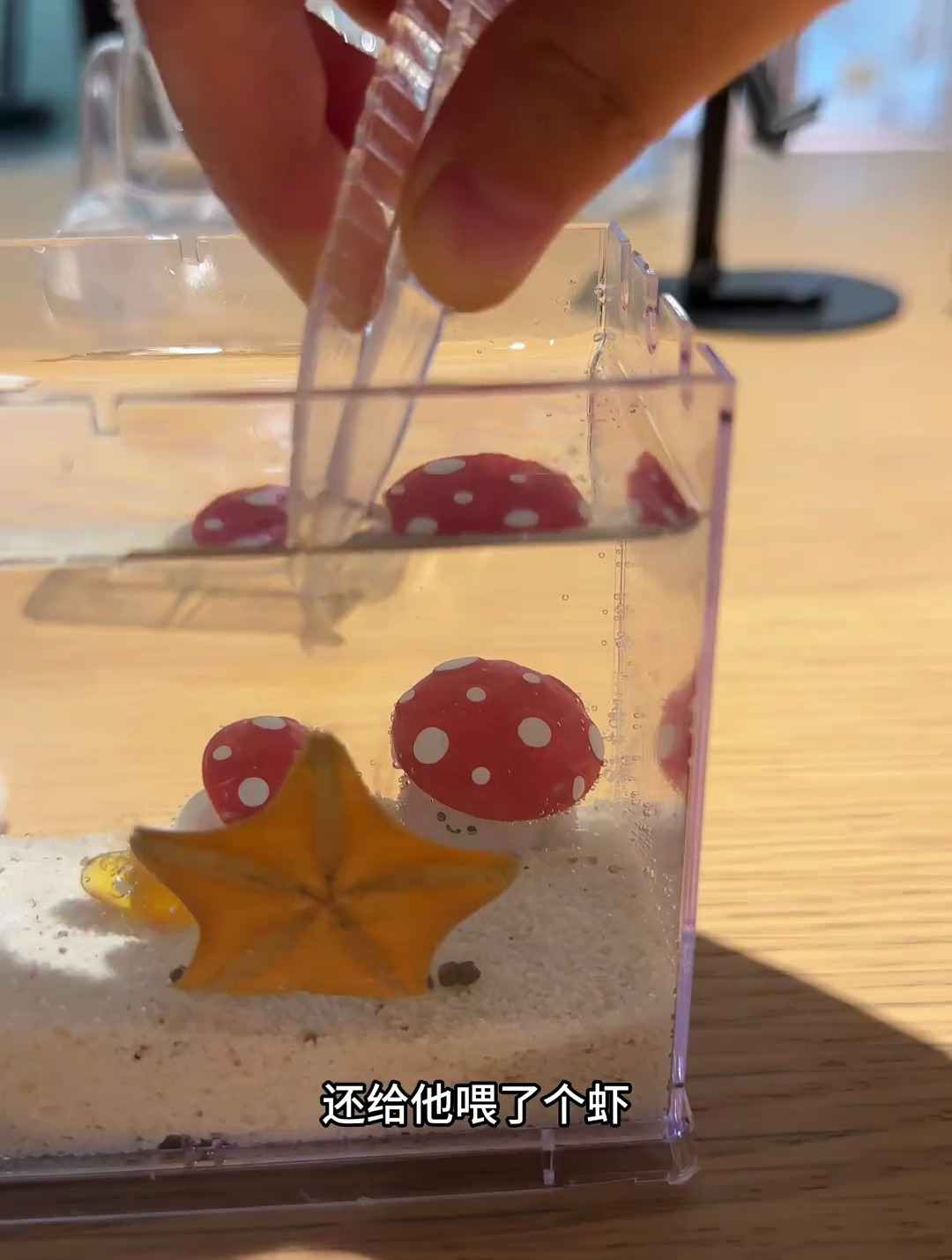 派大星真的好可爱呀!