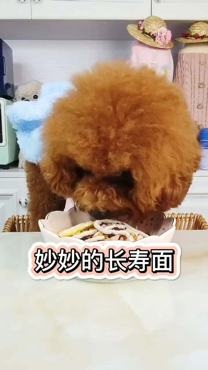 长寿面到底煎一个鸡蛋还是两个呢