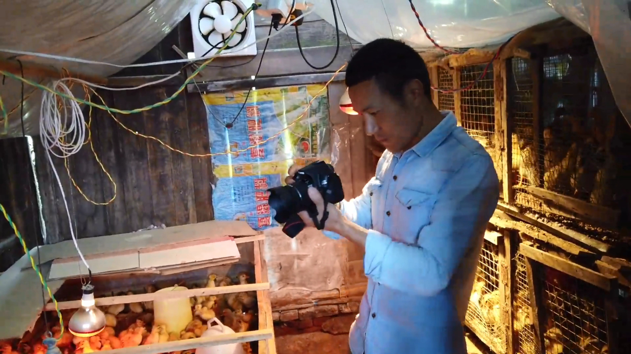 小伙创业搞养殖,孵化的鸭苗太多了,家里爆满都装不下了