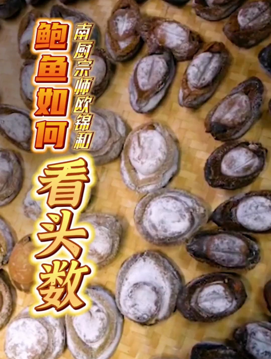 经常听说鲍鱼头数越小越矜贵,鲍鱼头数应该如何看?