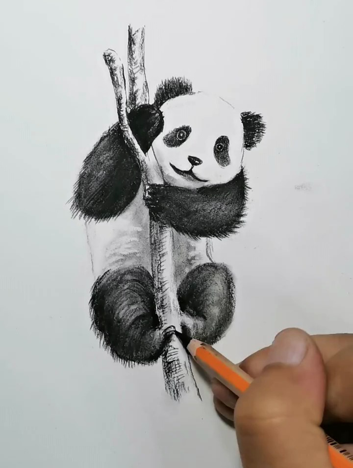 国宝大熊猫的画法,你学会了吗?