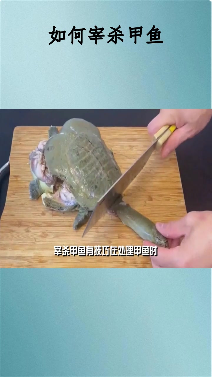 如何宰杀甲鱼生活小妙招