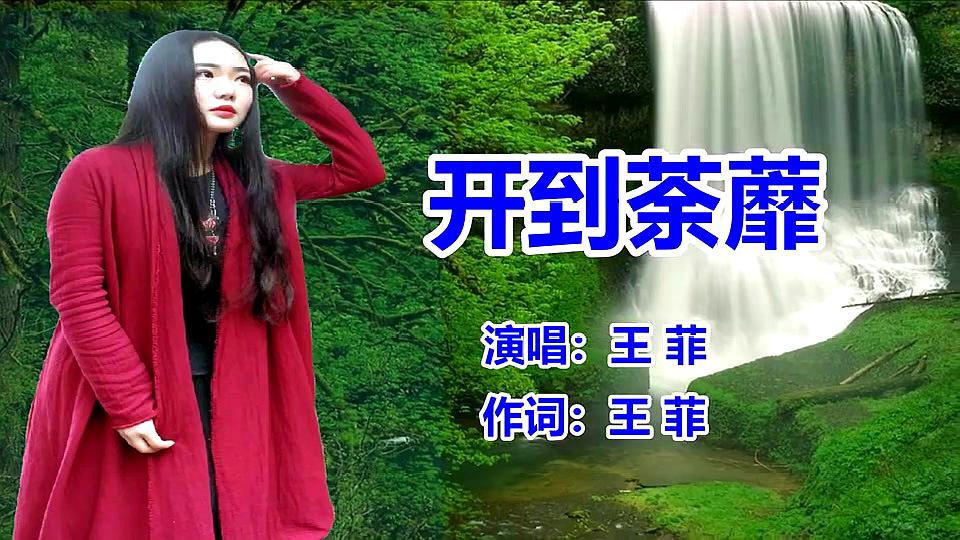 [图]王菲《开到荼蘼》网络歌曲