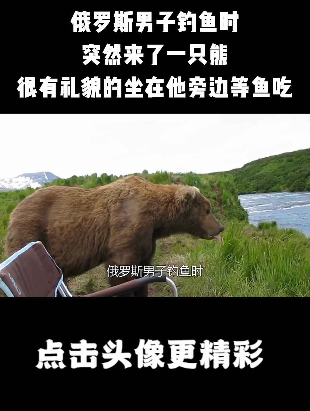 俄罗斯男子钓鱼时,突然来了一只熊,很有礼貌的坐在他旁边等鱼吃