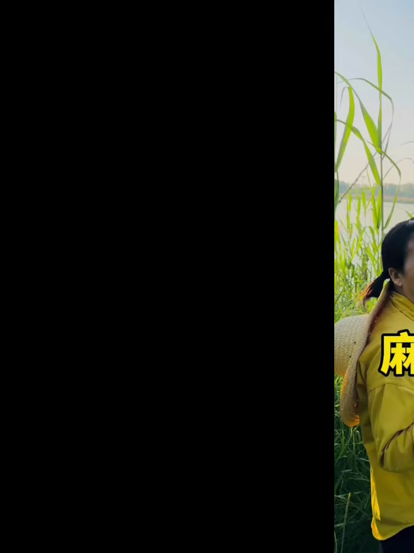 麻鸭虽然野性十足,但是胆小