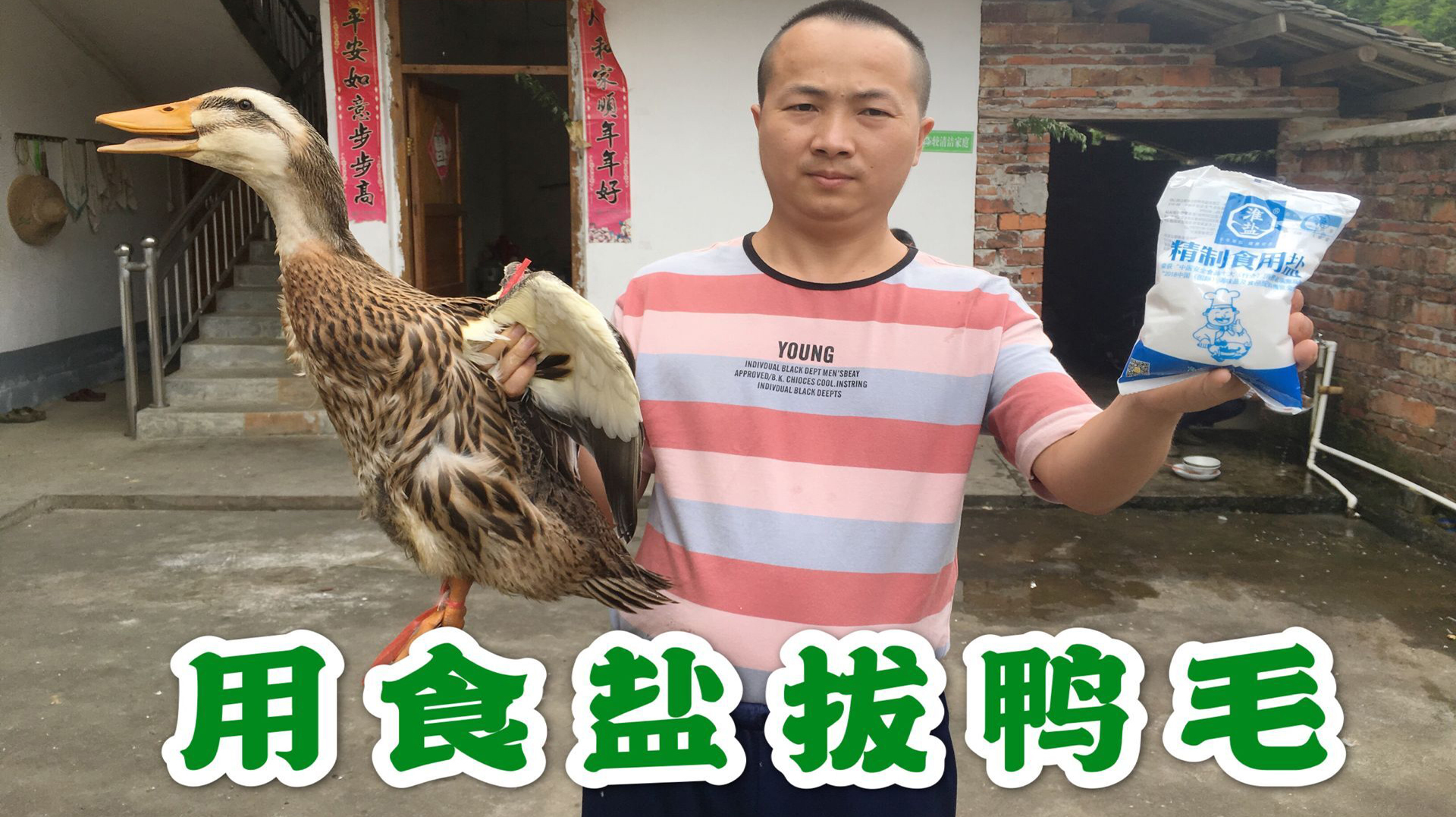 小伙用食盐拔鸭毛,这才是拔鸭毛的好方法!简单又干净,没见过吧