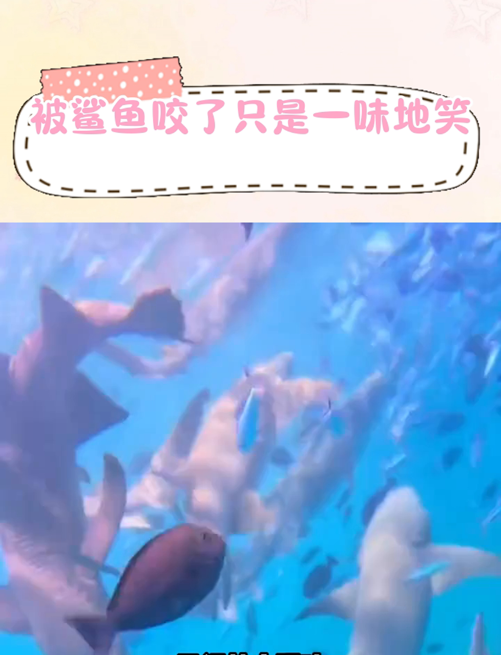 被鲨鱼咬的原博主伤口恶化