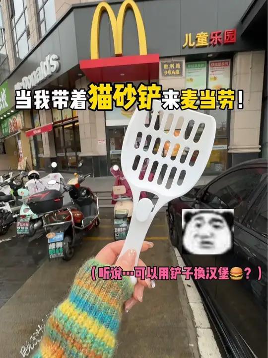 《当我带着猫砂铲来麦当劳》啊……竟然……?