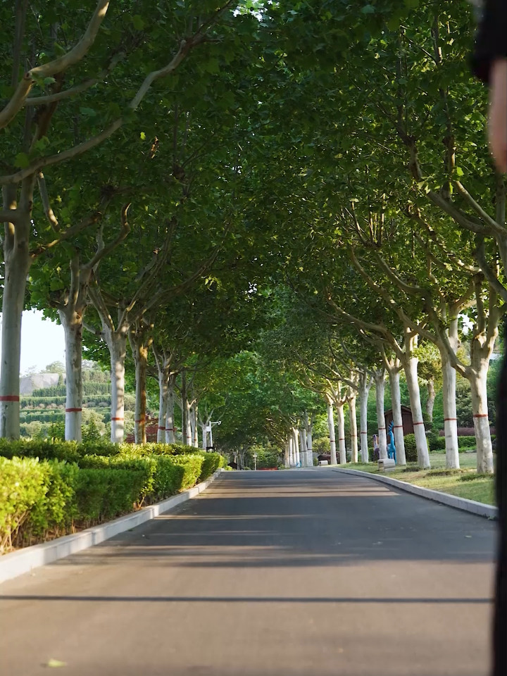 【热播短剧】母爱未晚 65