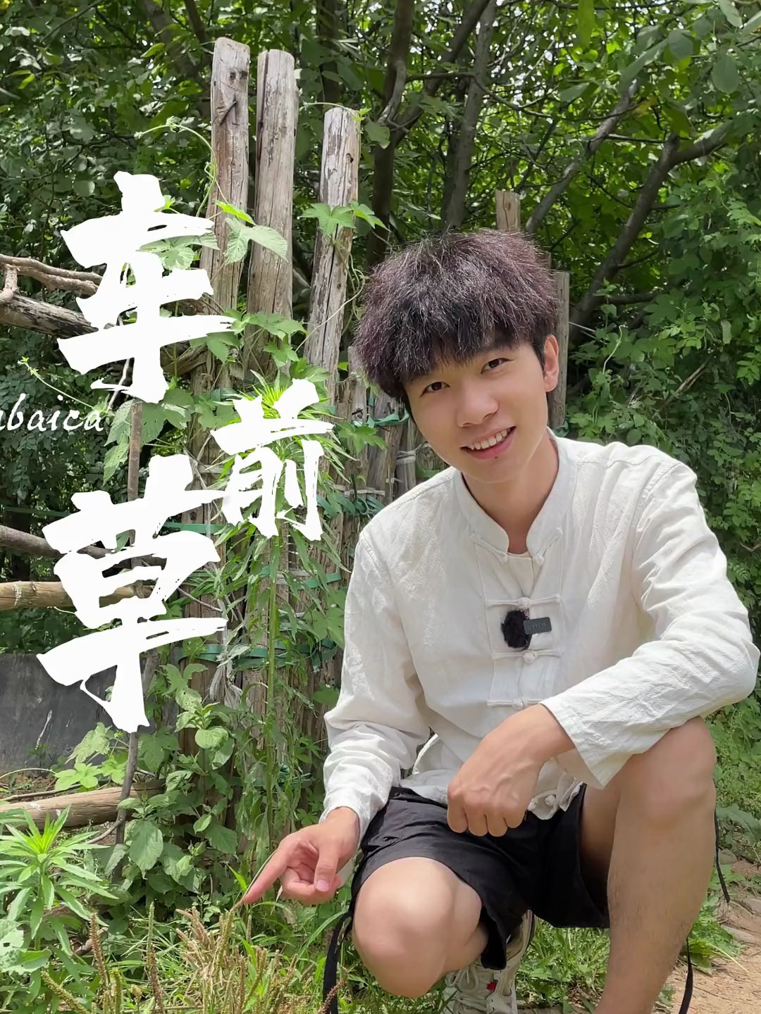 农村常见的车前草,没想到作用这么大,好多人都不知道它的珍贵