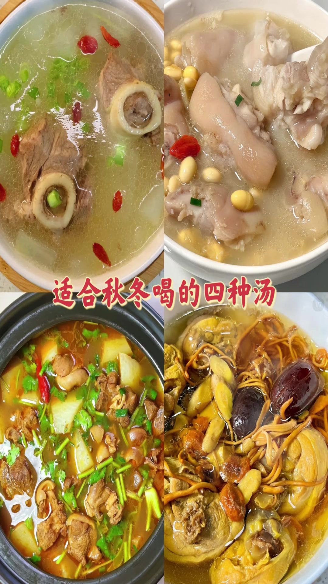 有个会煲汤的男朋友真的太幸福了,快艾特你的男朋友给你做