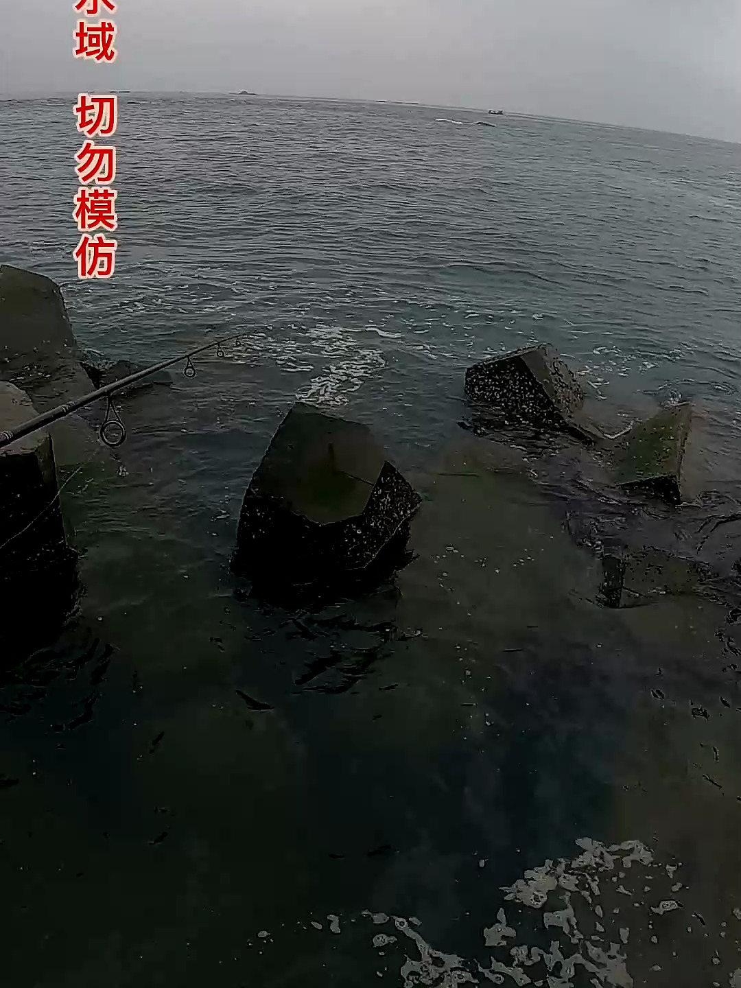 又来祸害小杂鱼了这鱼该怎么做才好吃?