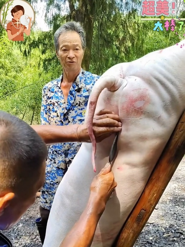 用猪油膏擦脸皮肤白嫩有光泽
