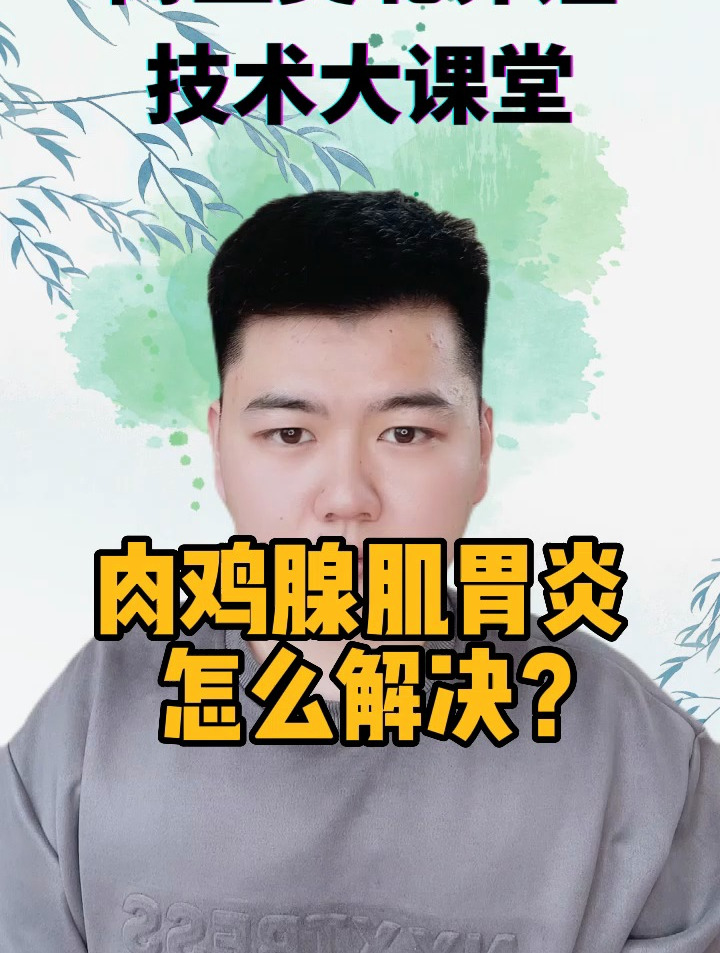 肉鸡腺肌胃炎什么症状鸡腺肌胃炎的症状及方案鸡腺肌胃炎症状表现