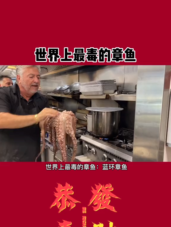 世界上最毒的章鱼