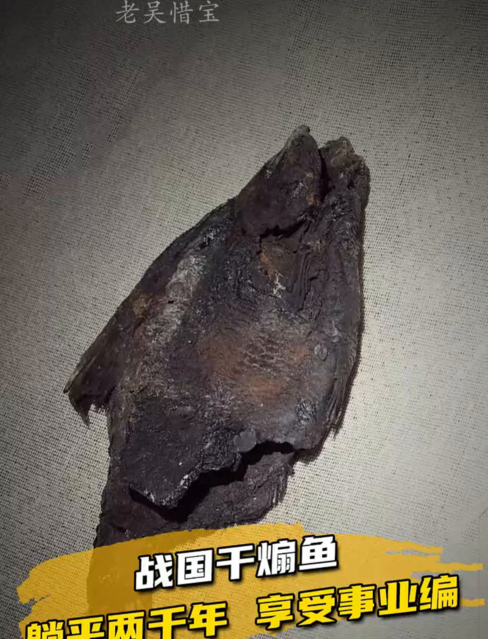 古时候的烤鱼躺了两千年,如今终于有了铁饭碗!