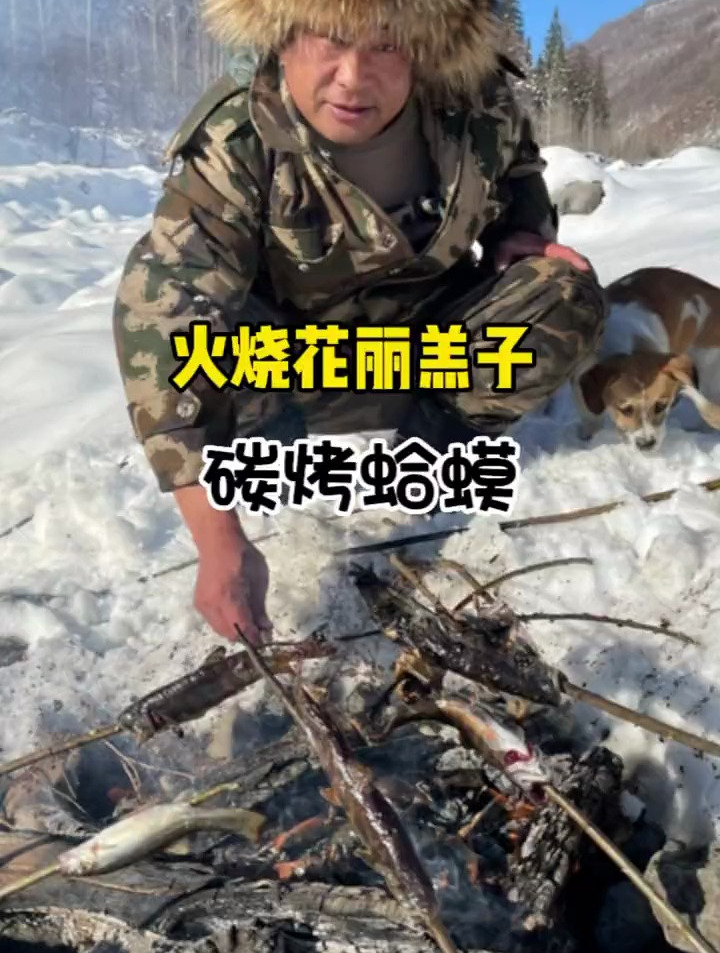 火烧花丽羔子,东北雪蛤