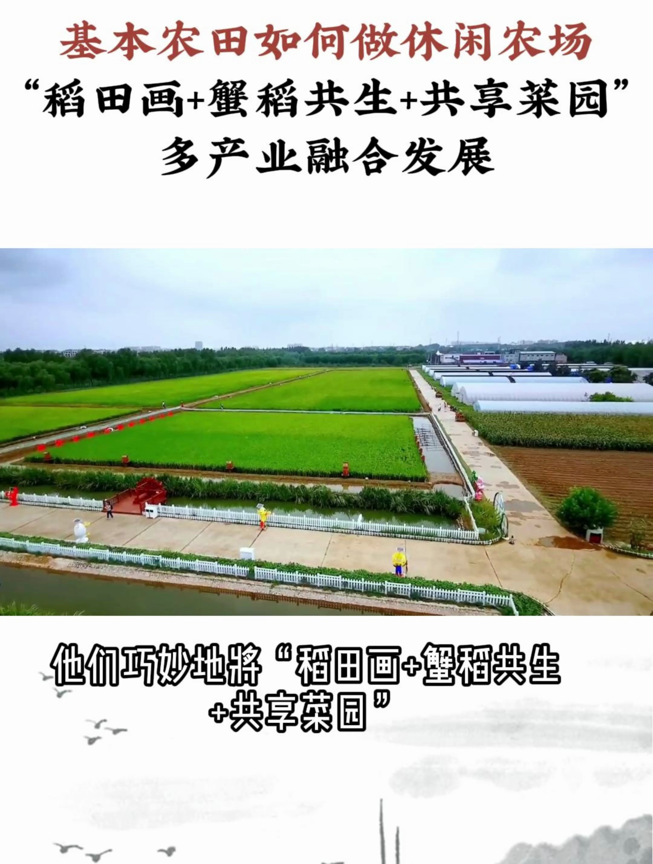 基本农田变身休闲农场:“稻田画+蟹稻共生+共享菜园”多产业融合
