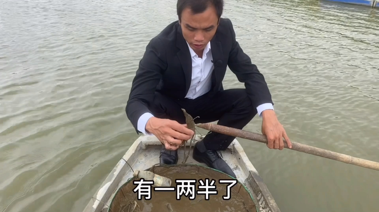 冬季到了,创业养殖的冬棚虾价格是否上涨?老板直接告诉你答案