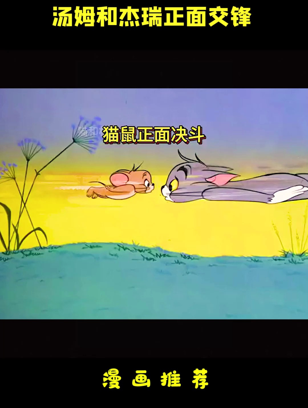 猫和老鼠动画片:汤姆和杰瑞正面交锋