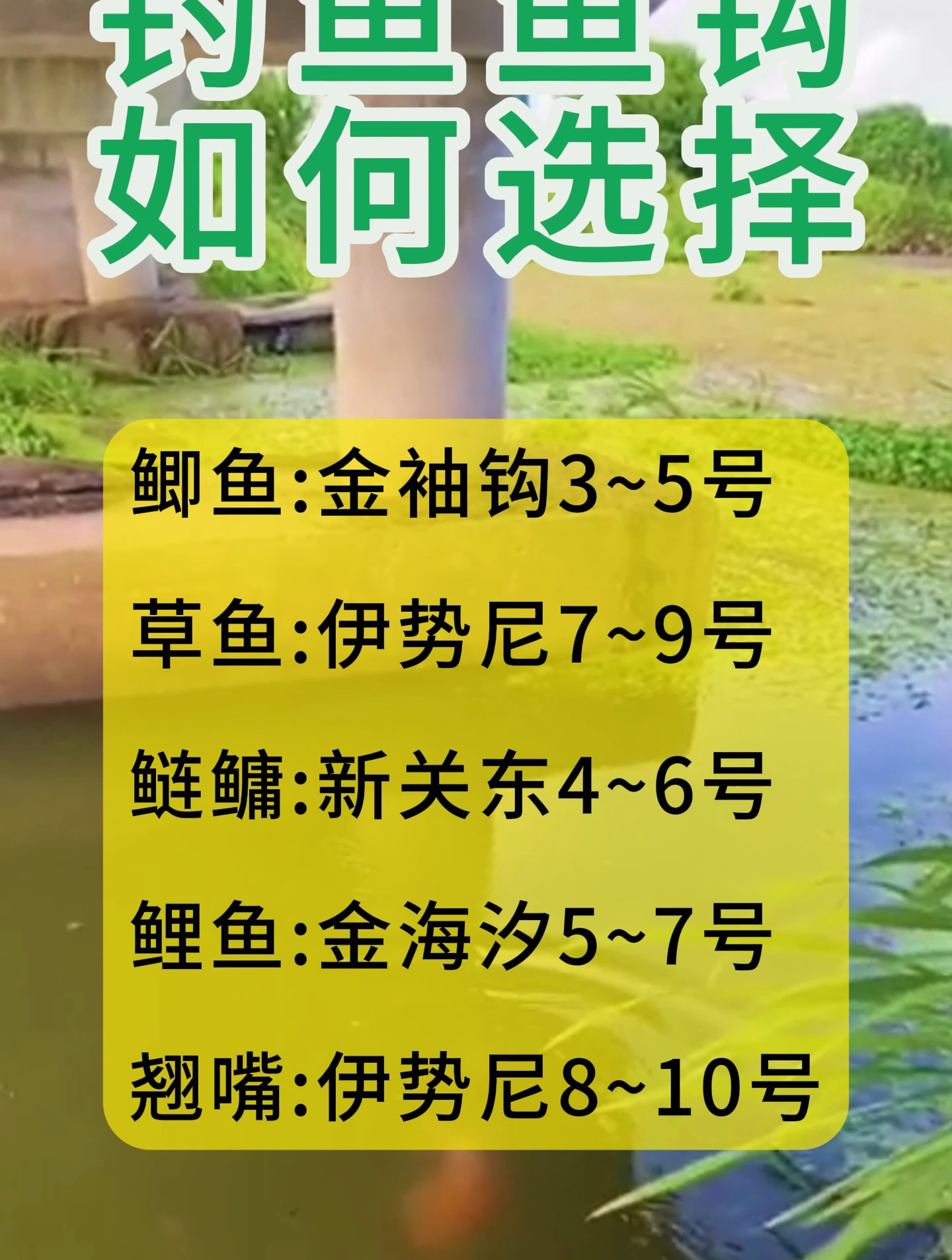 鱼钩型号如何选择?这个视频全部告诉你!