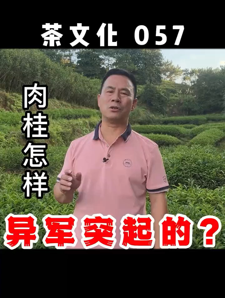 武夷岩茶肉桂怎么样异军突起