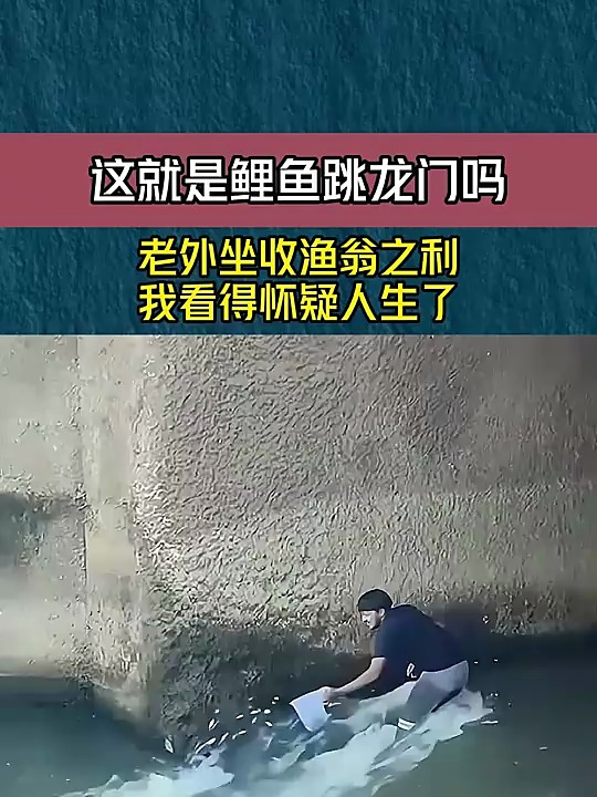 这就是鲤鱼跳龙门吗,老外坐收渔翁之利,我看得怀疑人生