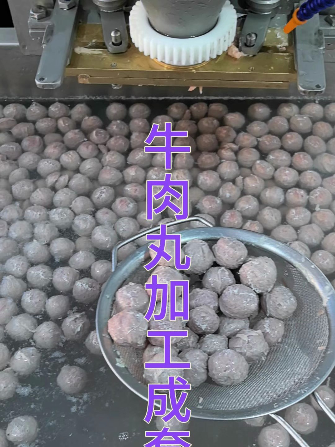 牛肉丸加工全套设备