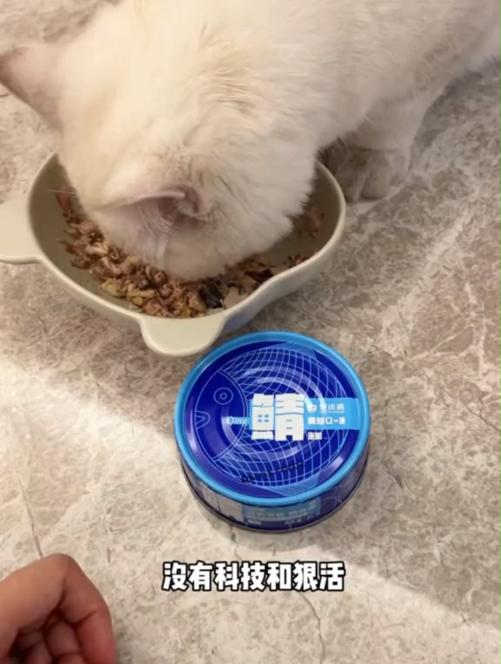 不爱吃鱼油的猫咪,可以试试鲭鱼罐头