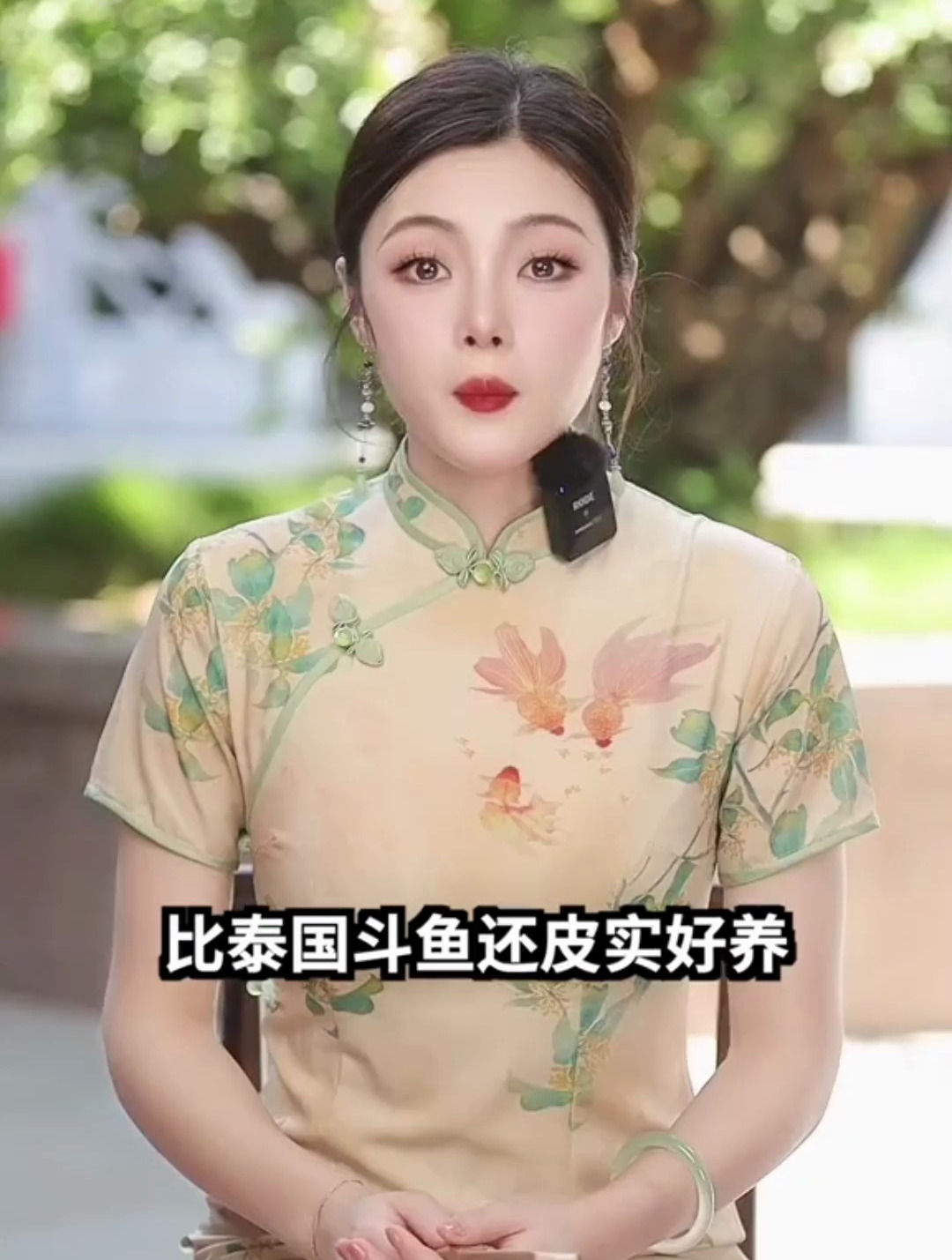 美哭老外的中国斗鱼