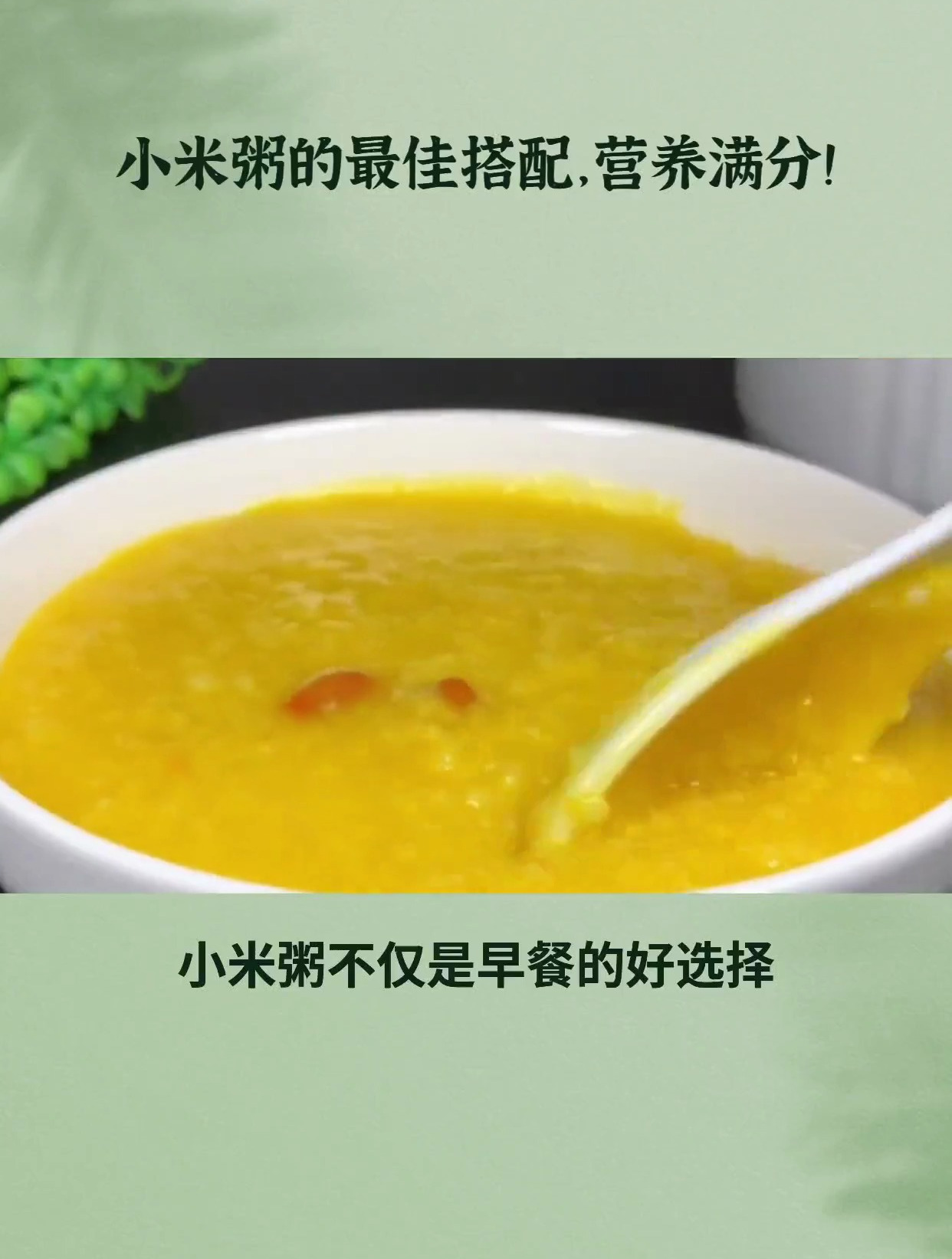 小米粥不仅是早餐的好选择,搭配得当更是营养满分!
