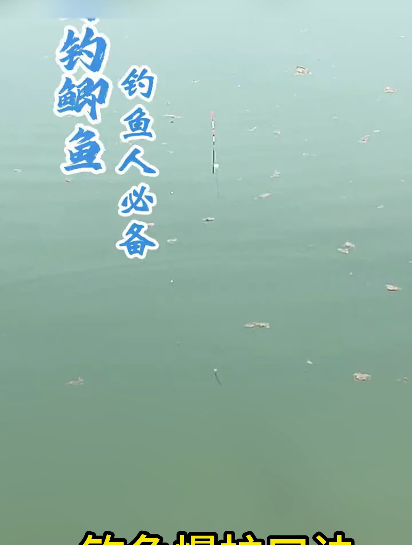 钓鲫鱼学会这一招,邓老师看了都得服你!