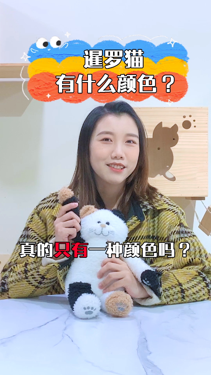 暹罗猫有哪些颜色?原来喵星矿工有这么多种毛色?