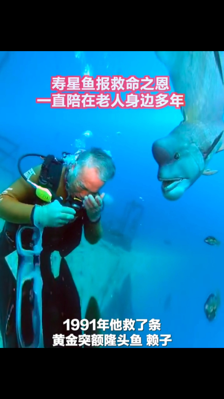 听说鱼的记忆只有七秒,但是这条不一样,应该能记一辈子