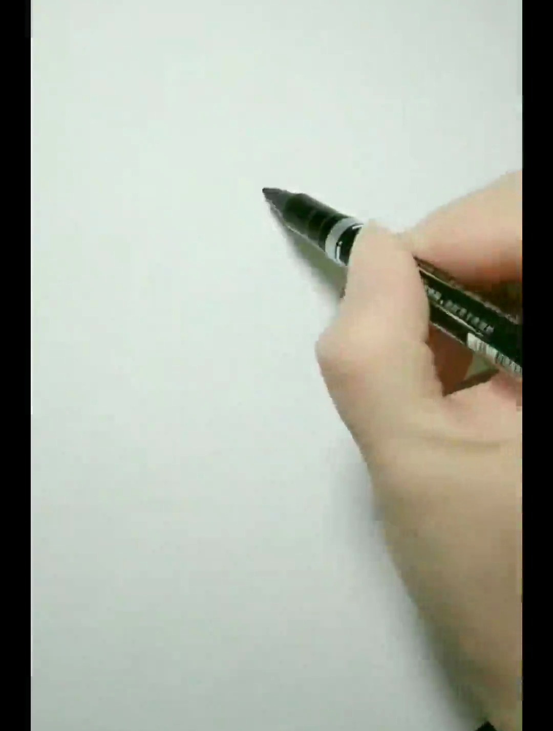 数字9简笔画枝头鸟可爱的画板可爱的画板