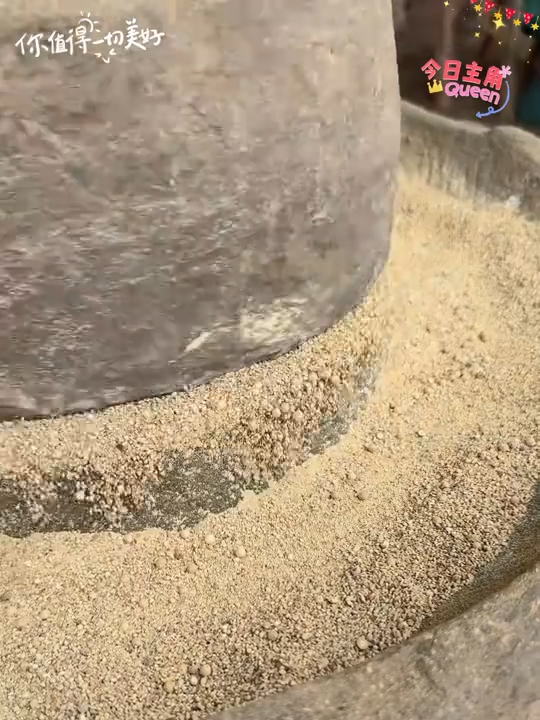 正宗海南白胡椒粉煲汤炖菜菜更好吃汤更好喝