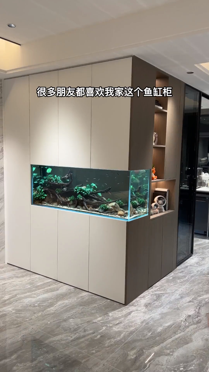 给你们天天问爆了的鱼缸柜,你们问的最多问题我都在视频里解答啦