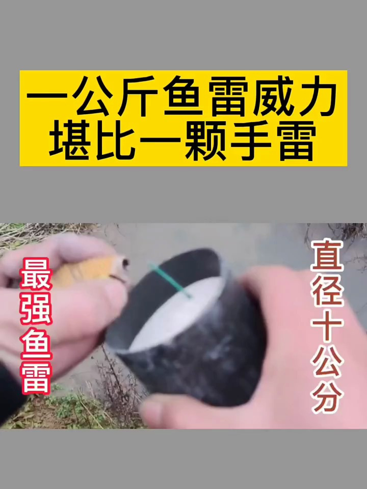 一公斤重的鱼雷王你见过吗?威力堪比一颗手雷!还好跑的快
