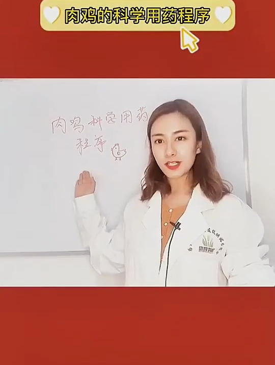 小范用心总结肉鸡养殖程序,视频长耐心看哦