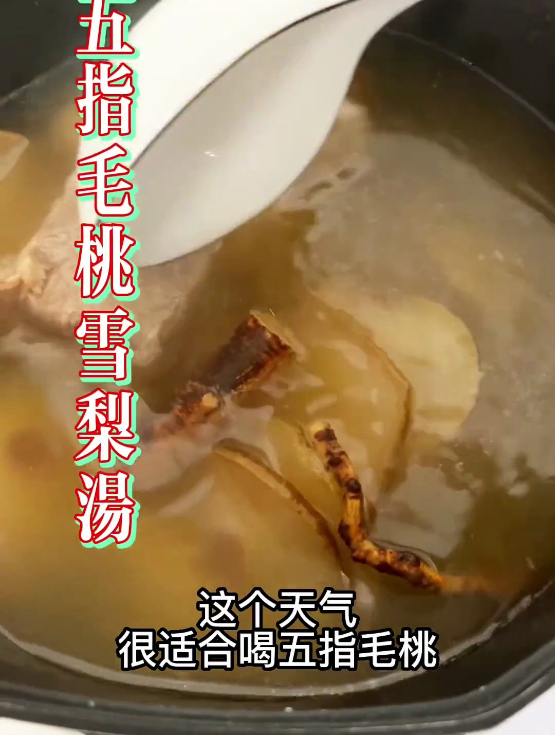 清清润润好舒服的汤水,每一个广东靓仔都需要的雪梨干五指毛桃汤