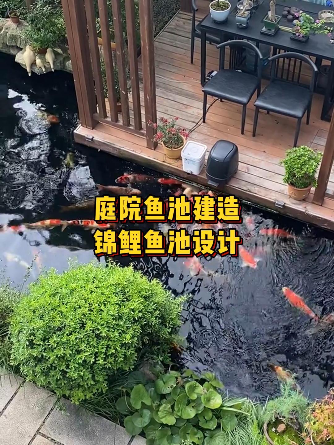 在庭院里建一个锦鲤鱼池,每天喂喂鱼也感觉特别的治愈