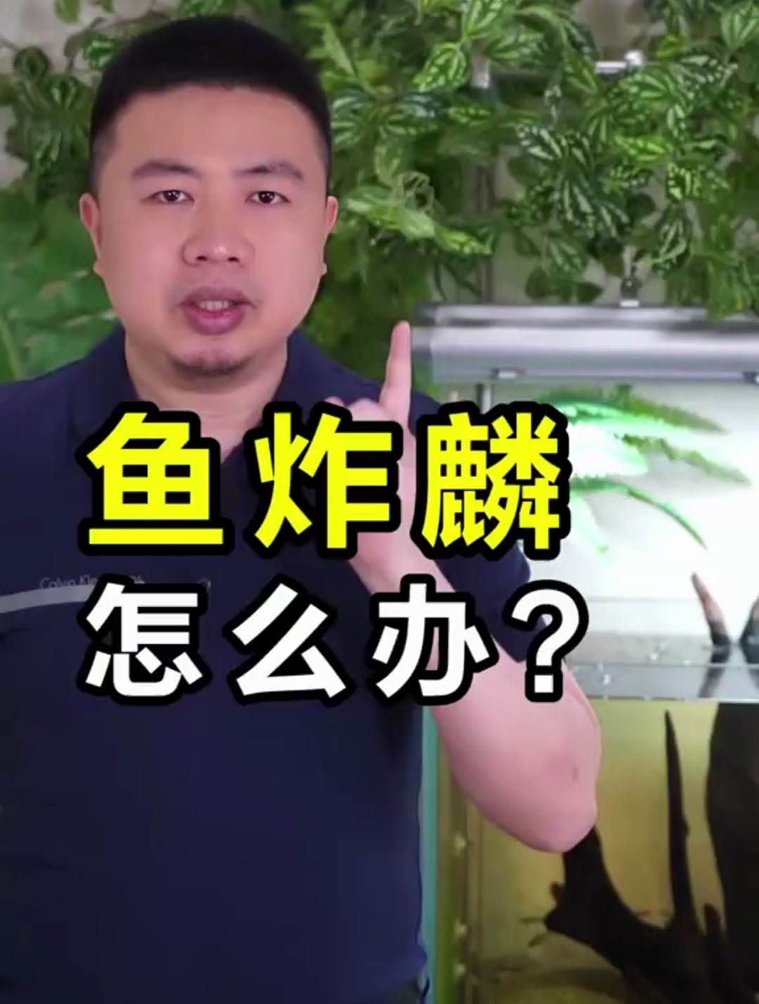 鱼炸麟 立麟病怎么治 密集恐惧症慎入