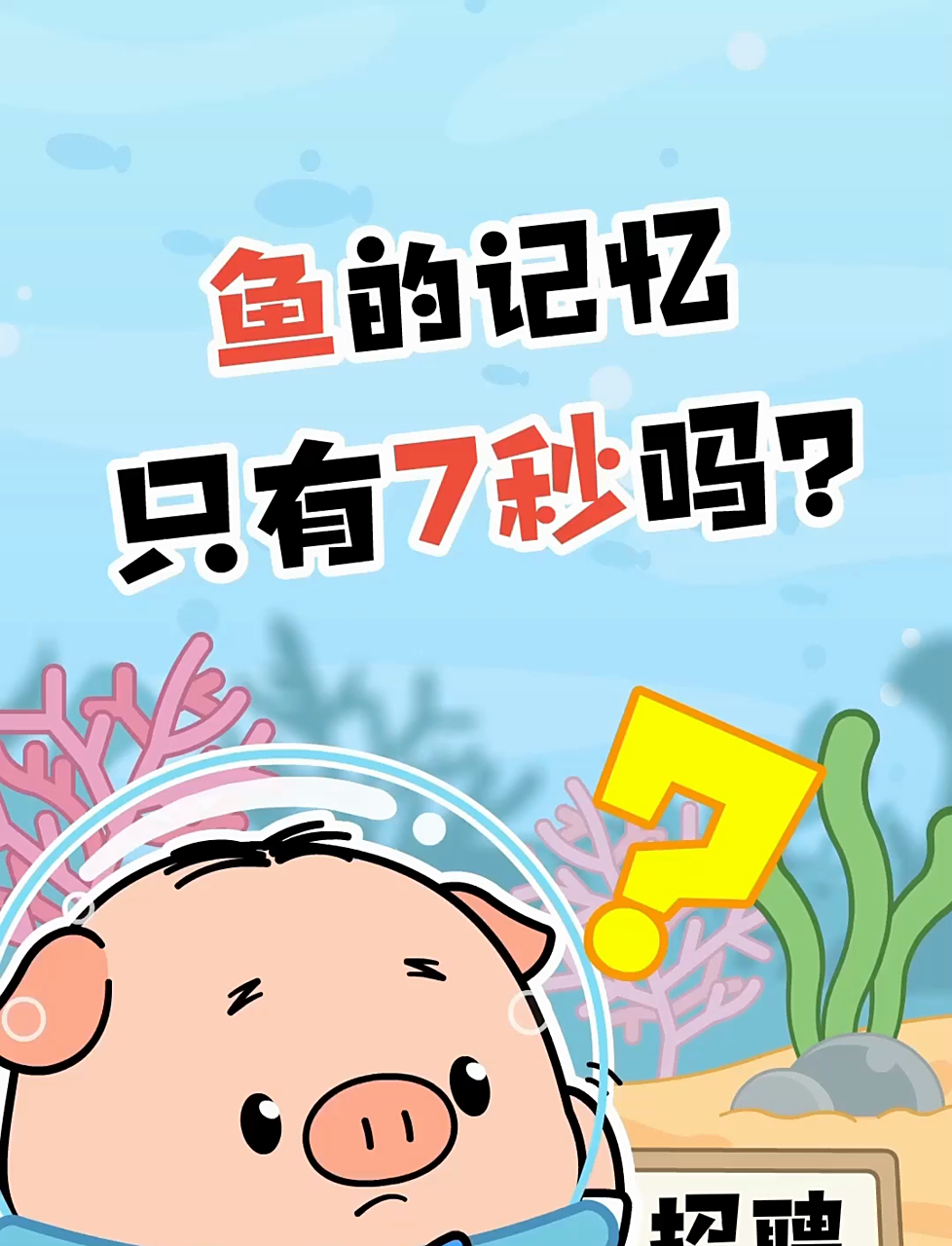 鱼的记忆只有七秒吗?