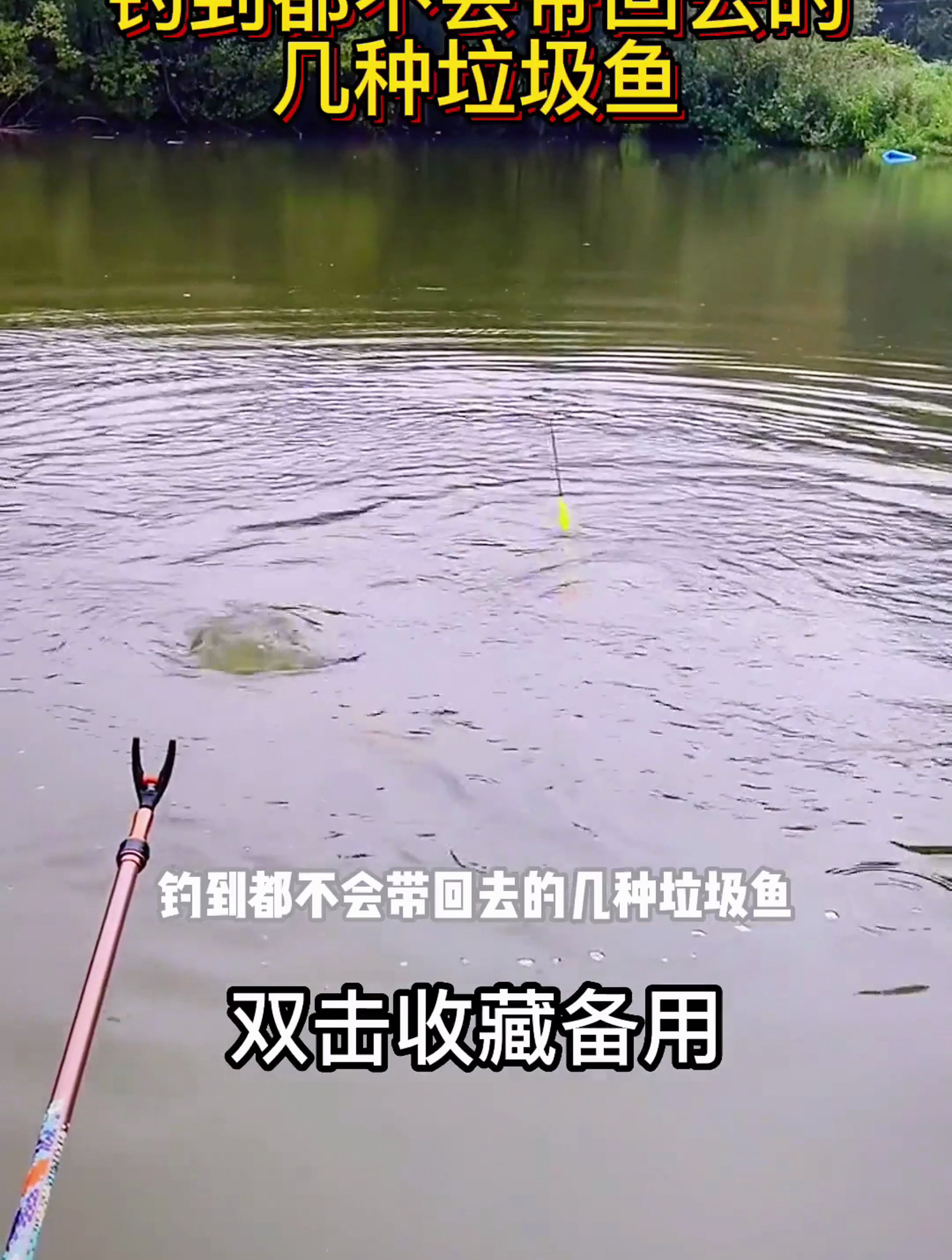 钓到都不会带回去的几种垃圾鱼!