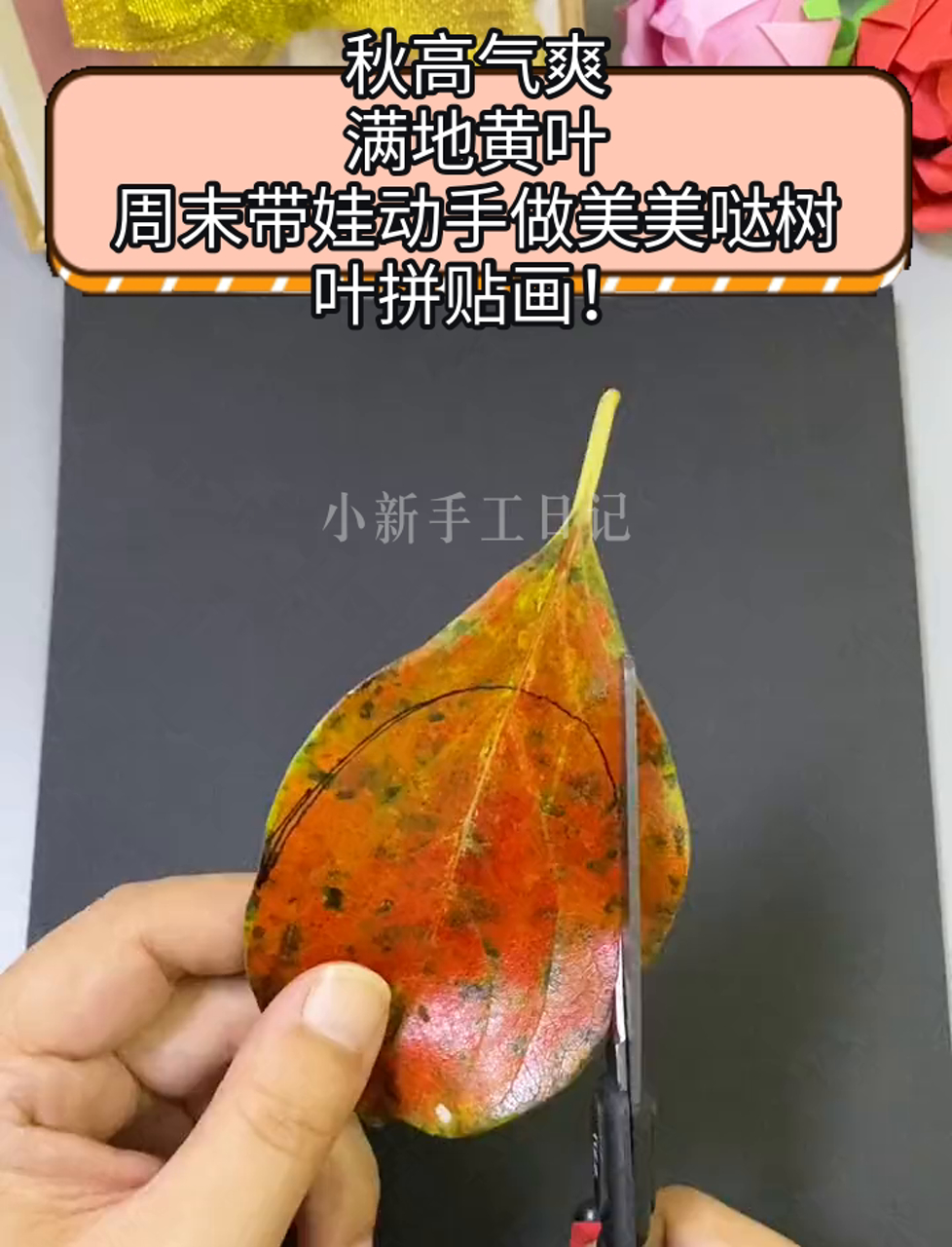 秋高气爽,满地黄叶,周末带娃动手做美美哒树叶拼贴画!