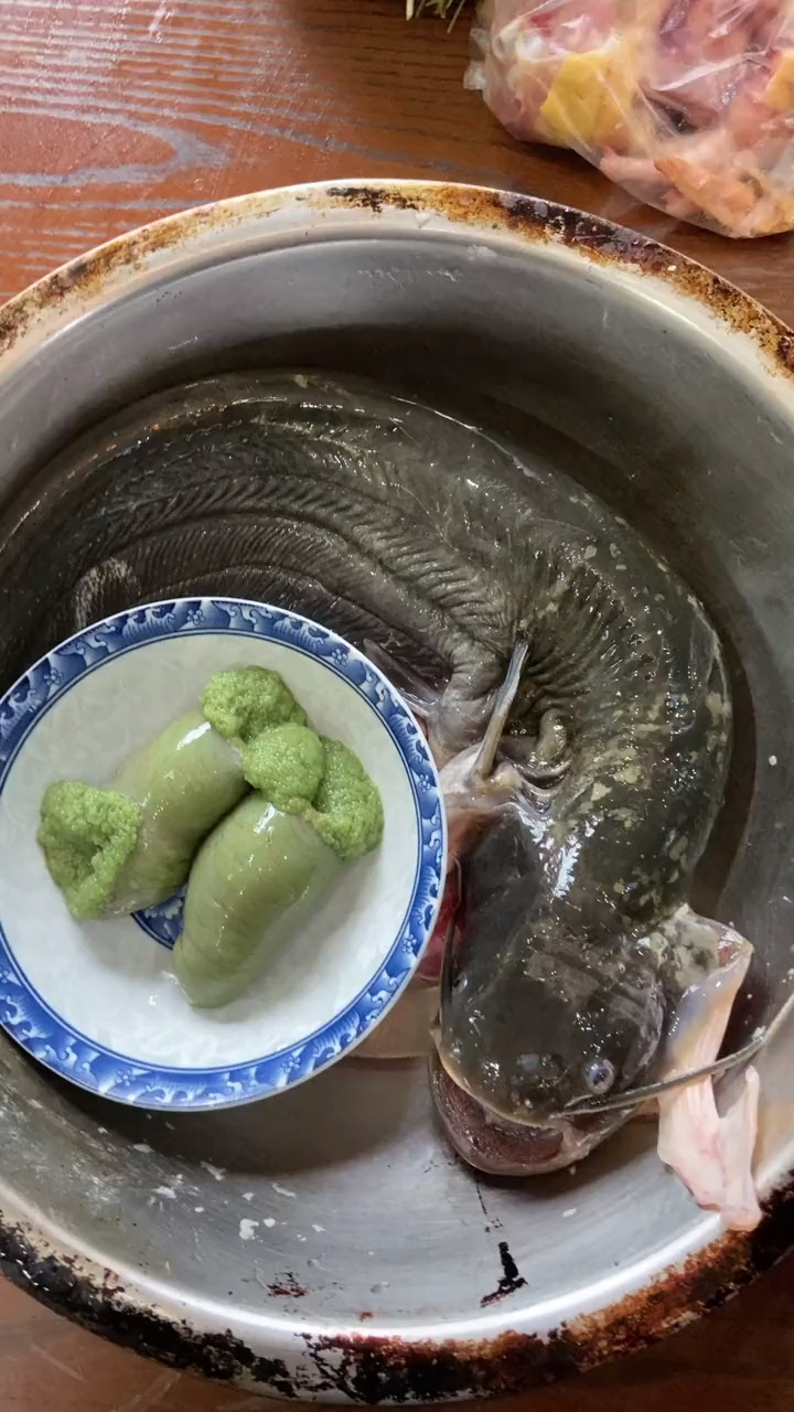 普通的鱼籽能吃,那鲶鱼绿色的籽,到底能不能吃呢?