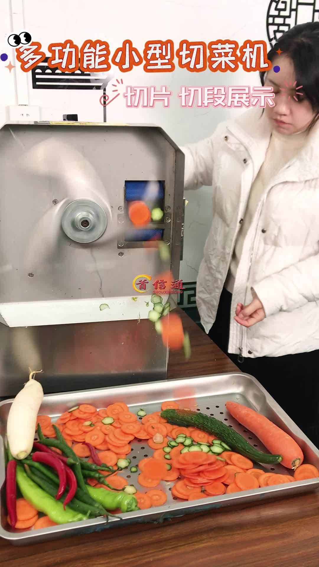 小型切菜机 多功能切菜机 切菜机