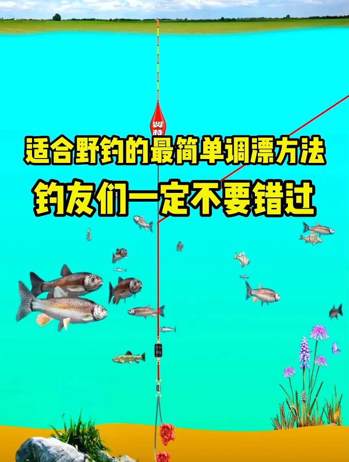 适合野钓的简单调漂方法,步骤极简,效果绝佳!钓友们看过来